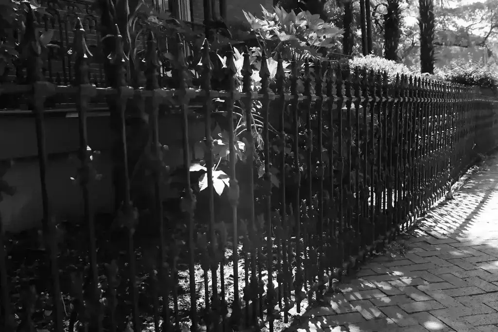 Hampton Roads neighborhood streetscape